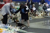 2012 BHCC National Specialty - Baby Puppy